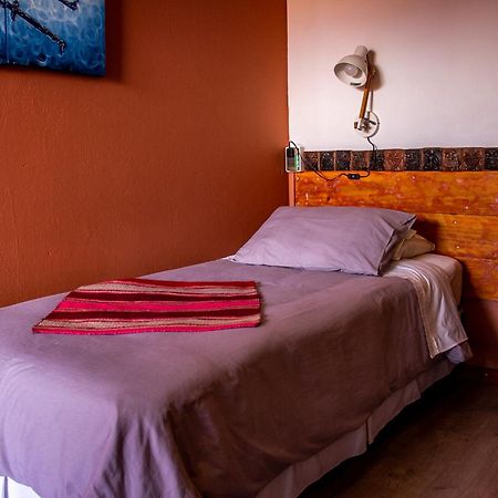 Hotel Casa Algarrobo 산 페드로 데 아타카마 외부 사진